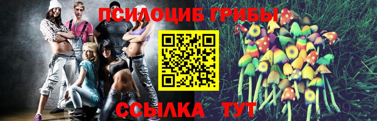 Сертолово  Псилоцибиновые грибы MAGIC MUSHROOMS  Вход с VPN 
