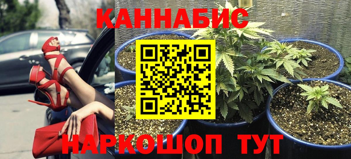 Канабис планчик Сертолово